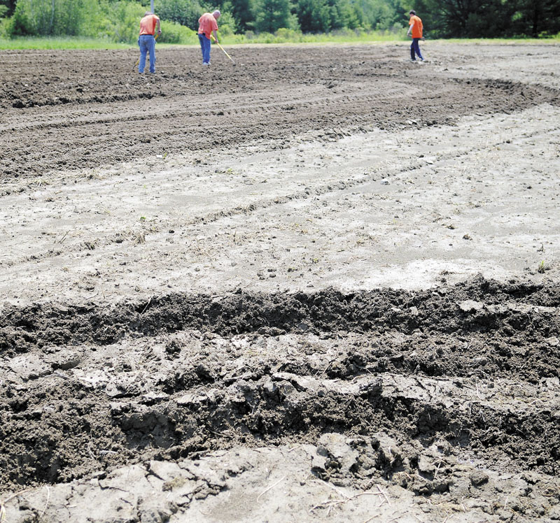 PRISONERS PLOTTING: Kennebec County jail inmates cover potato seeds planted recently at a plot the prisoners are cultivating in Augusta. Inmates are working roughly 11 acres over multiple locations, according to Kennebec County Sheriffs Office Lt. Michael Hicks.