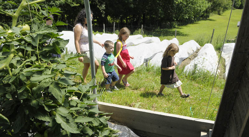 TOUR GUIDE: Sage Whitehead, 5, right, leads a tour of her family’s Winterberry Farm on Sunday morning in Belgrade. She and her siblings were leading the tours of the farm for Maine’s 22nd annual Open Farm Day.