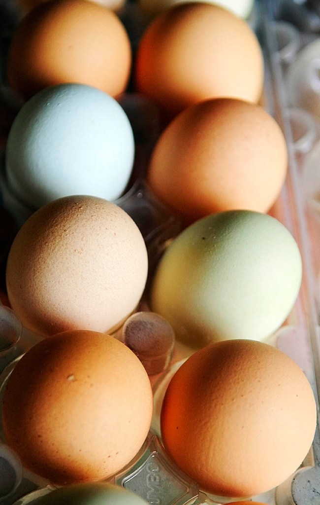 The hens at at Emma's Family Farm in Windsor lay eggs in various shades of brown along with blue and green.