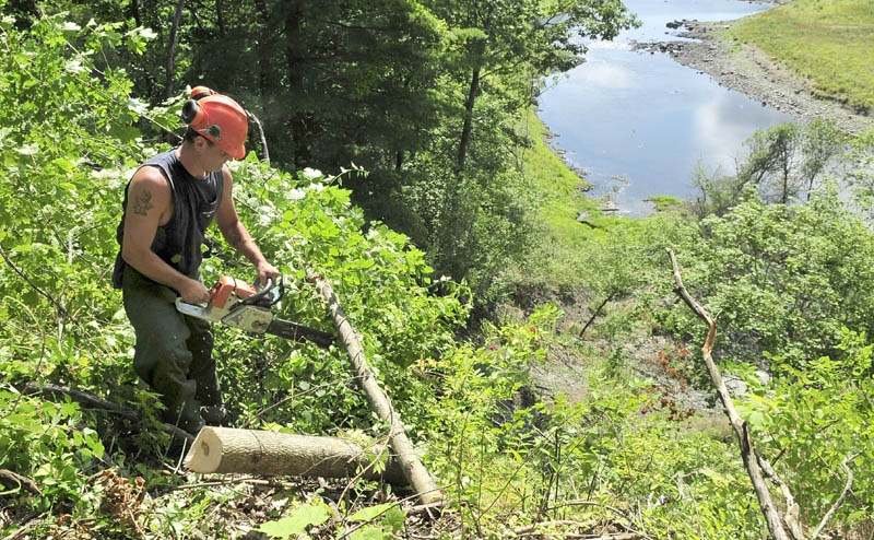 Jason Fitch of J&L Tree Service cuts up a tree he felled behind Fort Hill Cemetery, overlooking the steep bank near the Sebasticook River in Winslow on Wednesday. The work is being done to help reduce landslide erosion by removing top-heavy trees susceptible to blowing over.