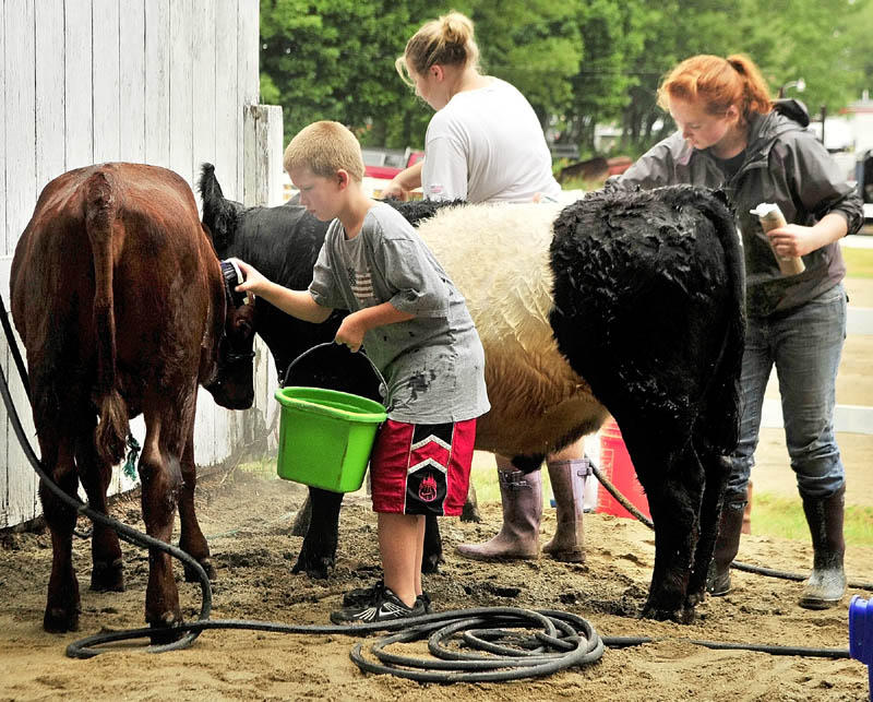 Cameran Fitch, left, Catherine Berry and Autumn Clair, wash up their cattle as they prepare for the 4-H and open dairy and beef cattle shows on Thursday morning at the Monmouth Fairgrounds on Academy Road in Monmouth. The fair runs through Saturday.