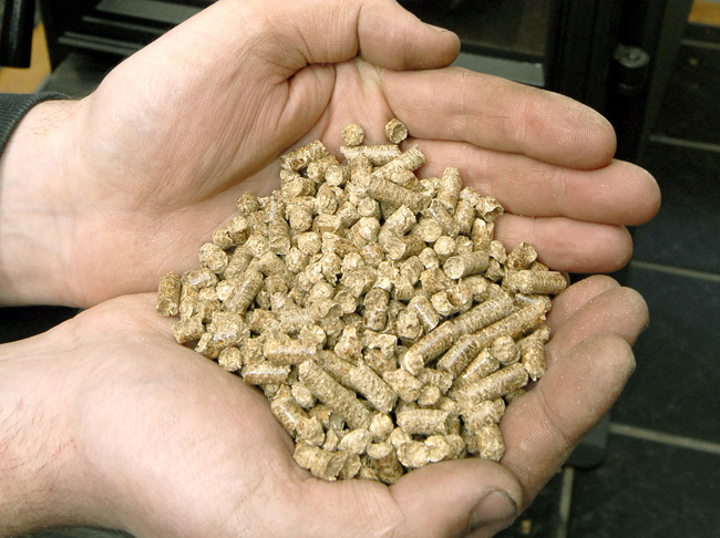 In Europe, pellets are in growing demand for electricity production. Utilities blend them with coal to run power plants.