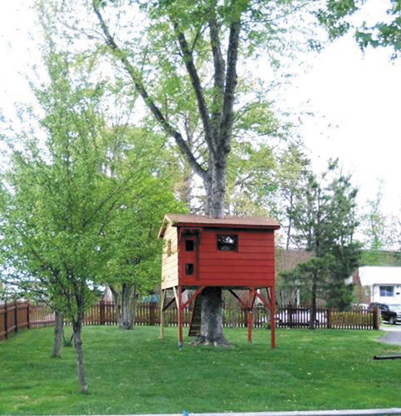 Mark W. Grapin built this treehouse for his sons at their Falls Church, Va., house to try to give them the kind of refuge he had as a child growing up in California. Fairfax county zoning officials had other ideas.
