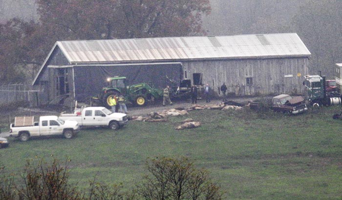 Investigators walk around a barn as carcasses lay on the ground at The Muskingum County Animal Farm in Zanesville, Ohio, on Wednesday.
