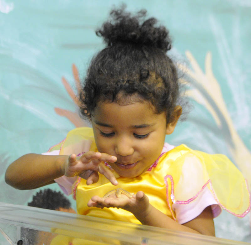PRINCESS LATRICIA: Dressed as a princess, Latricia Jones-Brown, 3, of Mount Vernon, looks at a starfish from the touch tank at the Children's Discovery Museum on Saturday in Augusta. The events there were one of three Halloween events in the city.