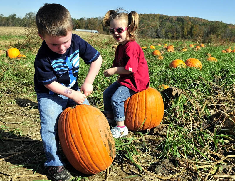 GREAT BIG PUMPKIN: Loral Pion tries hard to lift the pumpkin he picked at the Sandy River farm corn maize on Route 2 in Farmington. Resting on her choice is Griffin Dickey.