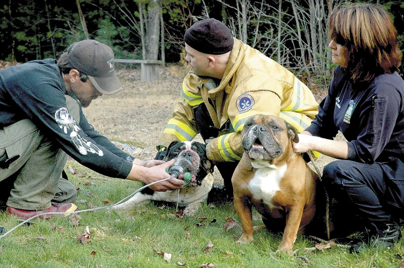 SMOKE INHALATION: Colby Hartley, left, paramedic Gary Paradis, center, and EMT Jay Kennedy care for two bulldogs that were outside at the time of the house fire. Hartley, of Belgrade, was driving by at the time of the fire and stopped to help. The black dog suffered burns on its face and in its throat, Paradis said. They used an oxygen mask to help the dog breathe.