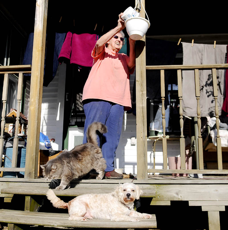 SNAPSHOT: Feeding time