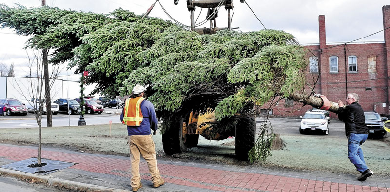SWINGER: Tom McCarthy, right, holds on to a 28- foot balsam fir tree so it won't swing while being unloaded at the corner of Commercial Street and Madison Ave. in Skowhegan on Wednesday. The donated tree was later placed upright and will be decorated with Christmas lights for the holidays.