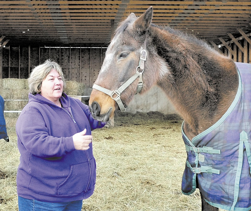 HELPING HANDS: Arleen Masselli greets one of the horses at her Knowlton Corner farm in Farmington on Wednesday.