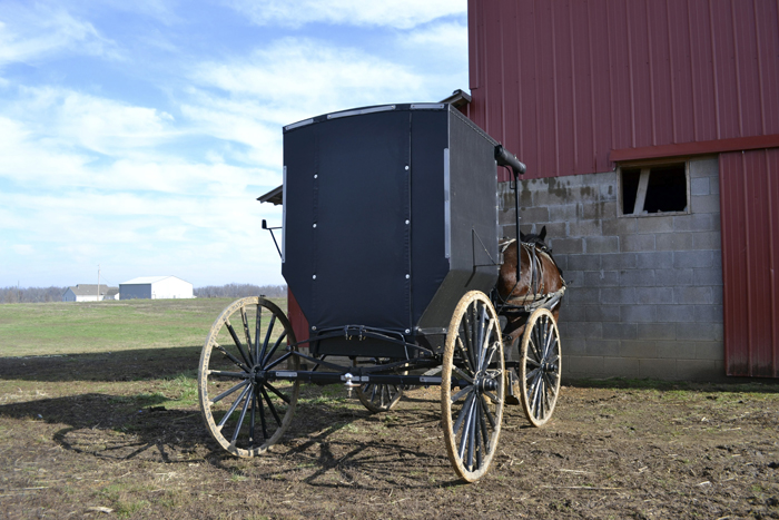 An unflashy Amish buggy sits parked on Jacob Gingerich's farm near Mayfield, Ky. Gingerich and other Amish men have run afoul of the law for not hanging an orange slow moving vehicle sign on their buggies.