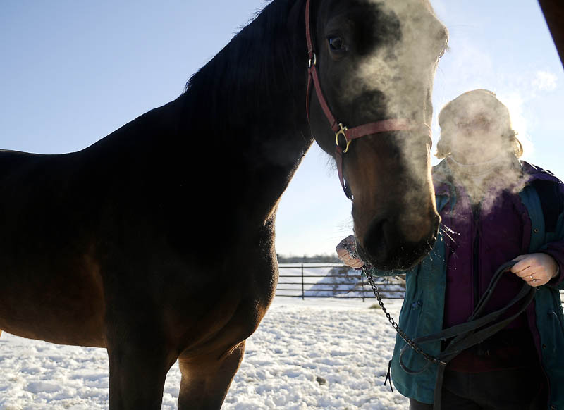 Tina Clary collects a racing steed Monday from the pasture at High Point Farm in Augusta. Despite temperatures in the single digits, Clary said her family tries to groom and condition the pacers at the spread every day.