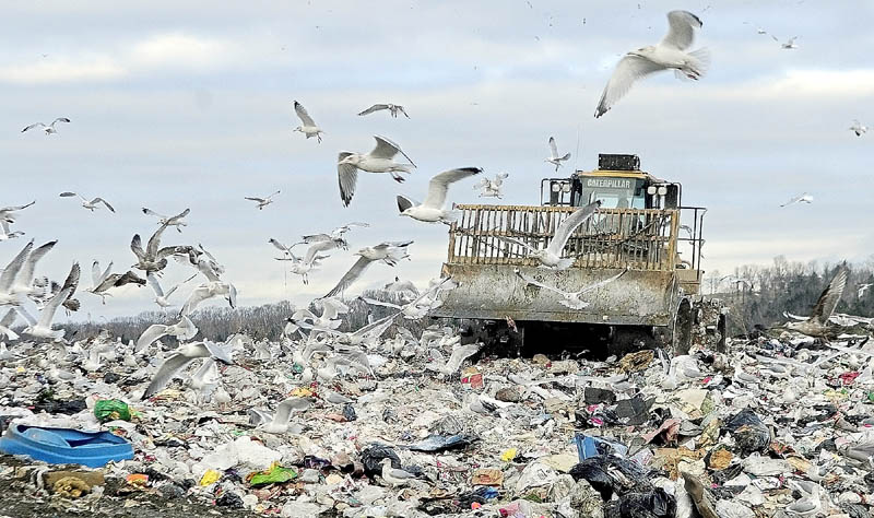 Birds swirl around the compactor at Hatch Hill landfill on Tuesday afternoon in Augusta. City officials are in discussions about a trash to diesel facility at the site