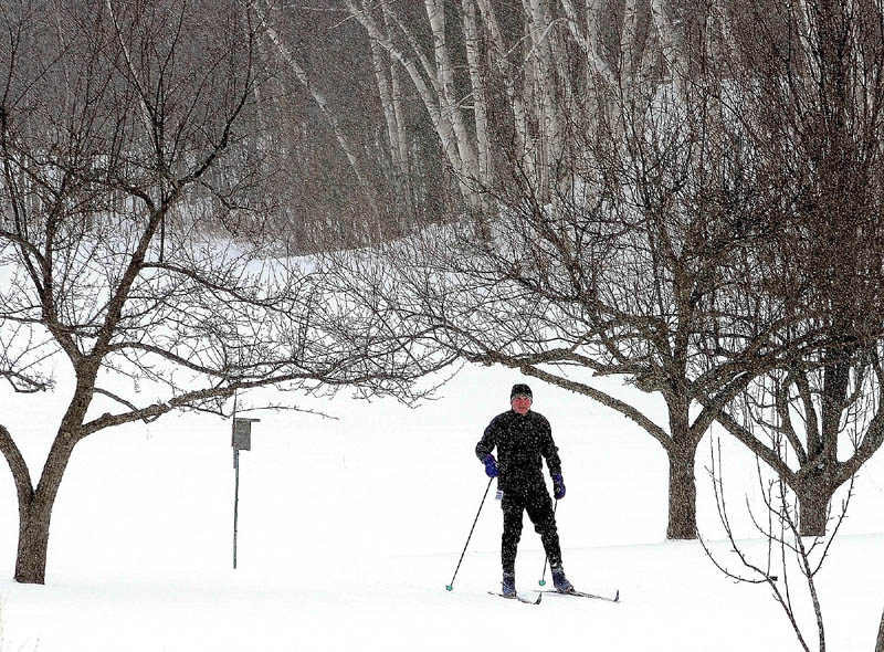 A Nordic skier is framed by trees as more snow falls on the trails Saturday morning at the Viles Arboretum in Augusta.