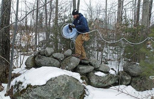 In this Feb. 14, 2012, photo, Eric Beckmann runs a maple sap collection tube through the woods at a timber stand in Newbury, N.H.