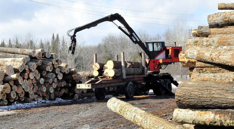 VALUABLE WOOD: Premium Log Yard Inc. employee John Fickett operates a crane at the North Anson company on Thursday. Earlier this week, thieves used the crane to load three bundles of furniture grade curly maple boards onto a trailer and also stole tools from the business.