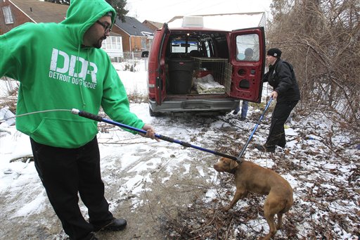 Dan "Hush" Carlisle, left, and Shance Carlisle of the Detroit Dog Rescue prepare to put a feral dog in a holding crate in Detroit recently.