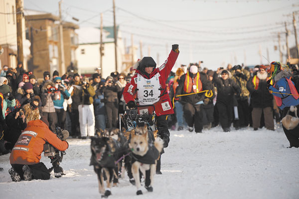 WINNER: Dallas Seavey reaches the finish line to claim victory Tuesday in the Iditarod Trail Sled Dog Race in Nome, Alaska. Seavey became the youngest musher to win.