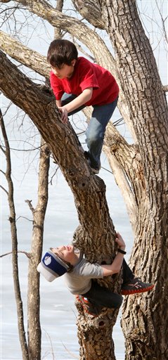 As temperatures eclipse 60 degrees Tuesday afternoon in Brainerd, Minn., Noah Rushmeyer (top) and Sam Pikula climb a tree.
