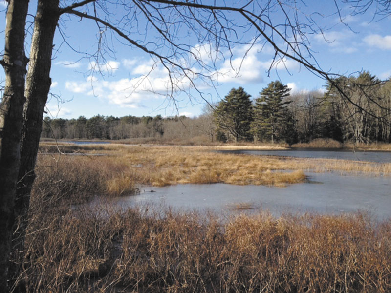 SOMETHING TO SEE: Boyd Pond, a wide section of the Pemaquid River, is one of the attractions for hikers traversing the many trails at Crooked Farm Preserve in Bristol.