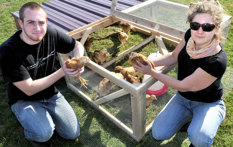 Unity College student Shayne VanLeer and school Food and Farm Projects Coordinator Sara Trunzo with the broiler chicks that wiil be raised for meat to support hunger relief efforts in Waldo County.