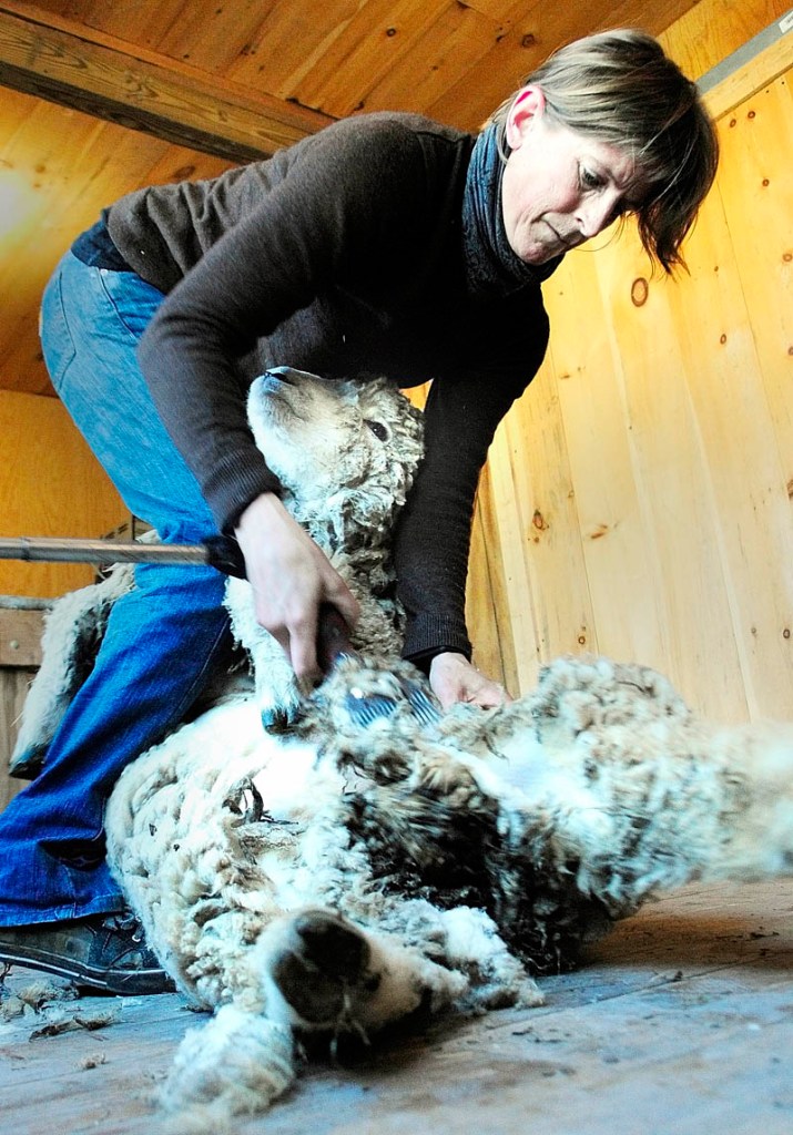 Gwen Hinman shears a sheep at Betty Stover's Spinnakees Farm on Friday in Augusta.