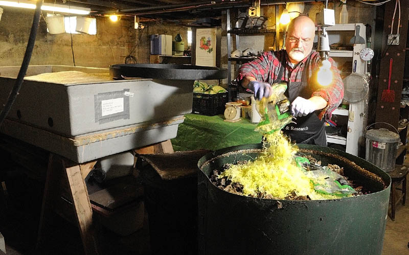 Jonathan Dyer feeds a bag of shredded lettuce to a tub of red wiggler worms at Black Gold Farms which he operates out of the basement of his Belgrade home.