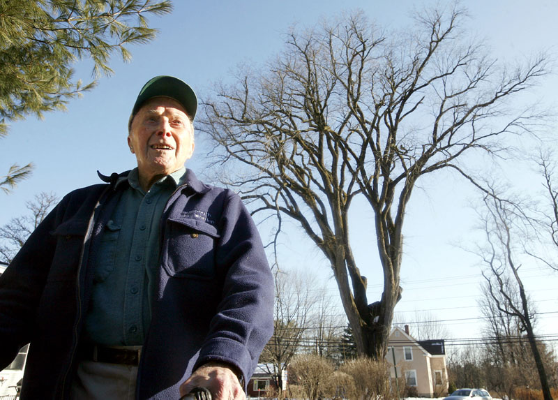 In this December 2009photo, Frank Knight, then 101, stands in front of an elm tree known as "Herbie" in Yarmouth.