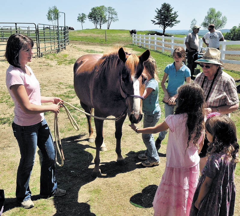 Owner Nicole Witt lets children pet one of her horses at Grand View Farm in Wilton on Sunday during an open house at the farm.
