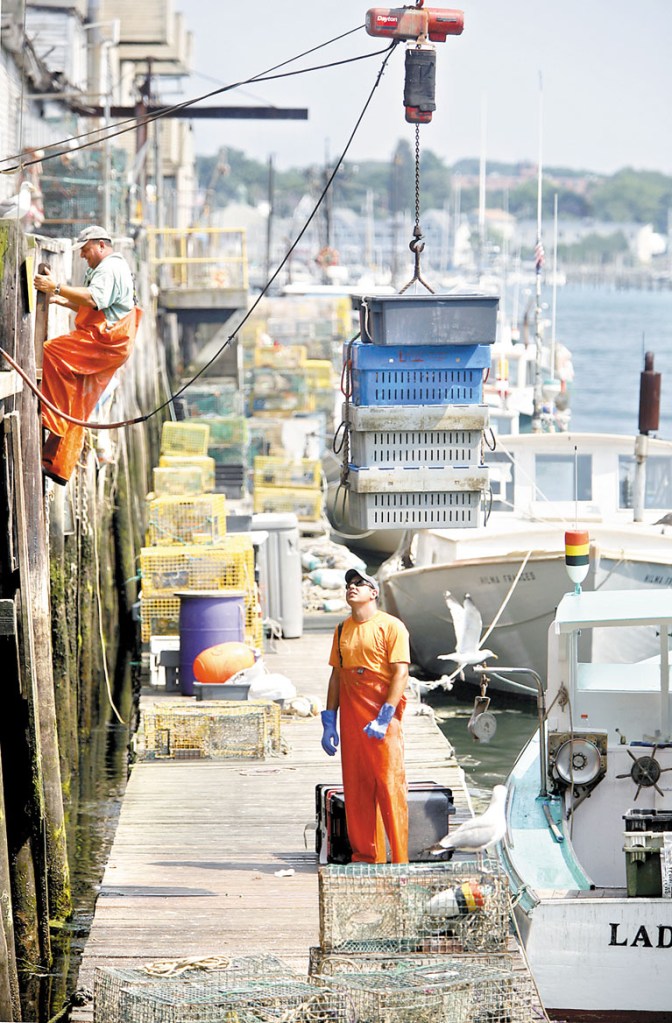 Lobsterman Eric Pray watches as four crates of lobster are lifted from the dock to Harbor Fish Market as his father, Peter, climbs a ladder to the market in Portland on Tuesday.