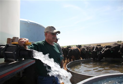 In this July 19 photo, Kendal Grecian fills a watering tank with trucked water at his cattle ranch in Palco, Kan. Grecian sold 20 pairs of cows and calves a few weeks after drought had sucked his pastures dry and no rain was in the forecast. He sold 20 more pairs Friday.