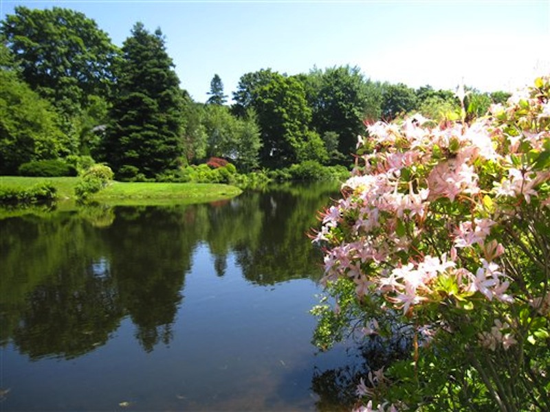 This July 12, 2012 photo shows the pond at the Asticou Azalea Garden in Northeast Harbor, Maine. Asticou includes plants once owned by the renowned landscape designer Beatrix Farrand, who also designed the nearby Abby Aldrich Rockefeller garden, a private garden open to the public just a few days a year. (AP Photo/Beth J. Harpaz)