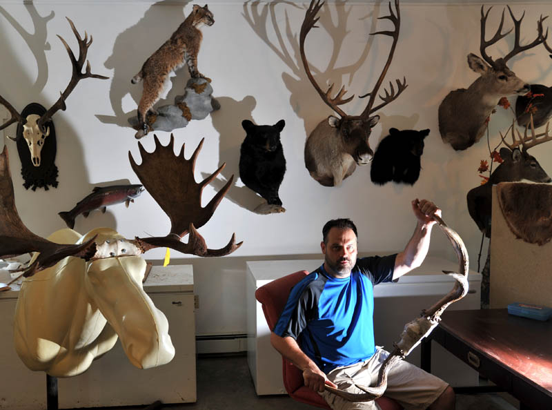 BACK AT IT: Sherm O’Brien reopened his taxidermy business, in a new location, after his old building was destroyed in a fire. O’Brien’s new shop is located in Newport.