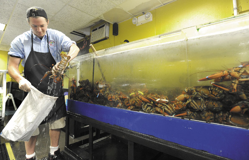 Jack Burke selects lobsters for a customer at Free Range Fish & Lobster market in Portland.