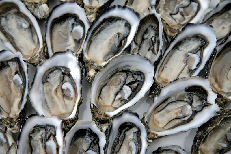 In this file photo, Oysters Mignonette. The FDA is warning people not to eat raw or partially cooked shellfish harvested from New York's Oyster Bay Harbor because they have been linked to cases of foodborne illness in several states, including Maine.
