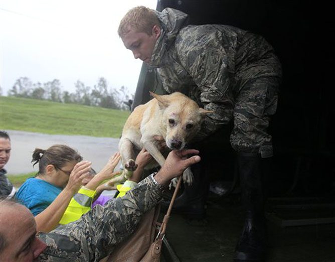 People and a dog who were rescued from their flooded homes are loaded into a Louisiana National Guard truck, after Hurricane Isaac made landfall and flooded homes with 10 feet of water in Braithwaite, La., in Plaquemines Parish Wednesday, Aug. 29, 2012. (AP Photo/Gerald Herbert)