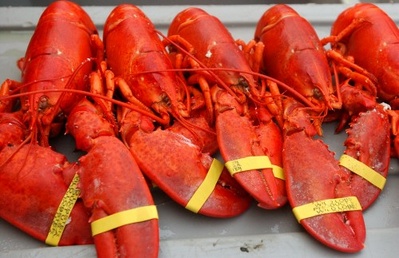 Lobsters are selling for record low prices this summer, sparking protests by New Brunswick lobstermen.