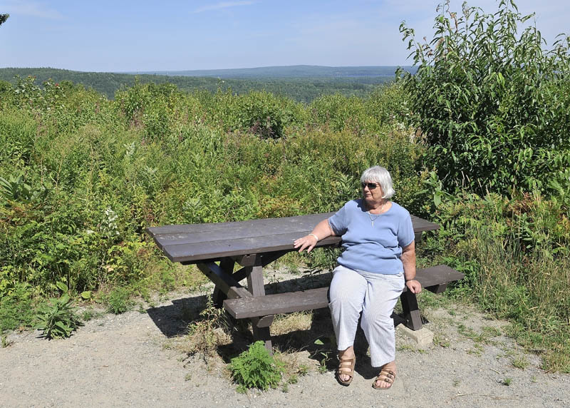 Anne Palmer sits at Blueberry Hill Scenic Area in Rome on Tuesday.
