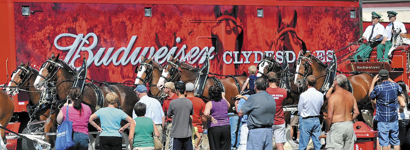 The Budweiser East Coast hitch Clydesdale team leaves the Concourse as they parade through downtown Waterville as part of the Taste of Greater Waterville on Wednesday.