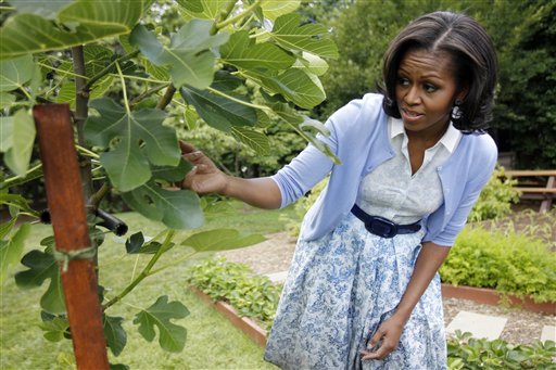ADVANCE FOR SUNDAY, AUG. 19 AND THEREAFTER - FILE - In this June 5, 2012, file photo, first lady Michelle Obama points out a fig tree as she talks about the White House Kitchen Garden during an interview with The Associated Press, on the South Lawn of the White House in Washington. She is 5-foot-11, and she is world-famous. Sometimes she inspires awe in her admirers. She has been accused of being the angry type. So when Michelle Obama meets people, she likes to bring things down to earth with a hug. (AP Photo/Charles Dharapak, File)
