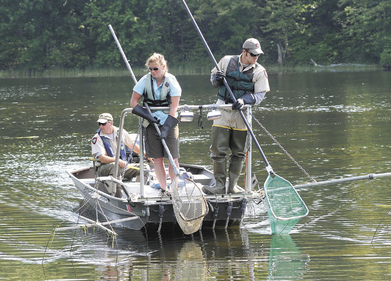 Fisheries specialist Scott Davis, information & education biologist Ashley Malinowski and seasonal assistant Chris Mitaly of the Maine Inland Fisheries & Wildlife Department electrofish for rudds this week in Winthrop's Cobbosseecontee Lake.