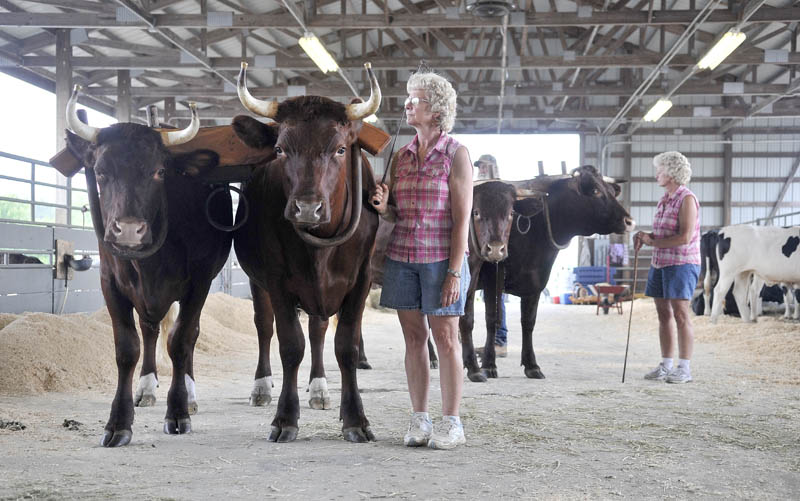 Claudene Northrup, center, stands with her team of oxen, Red and Sox while her twin sister Claudia Orff-Reed, far right, stands with her team of oxen Clyde and Clem before the oxen show at the Skowhegan State Fair friday morning.