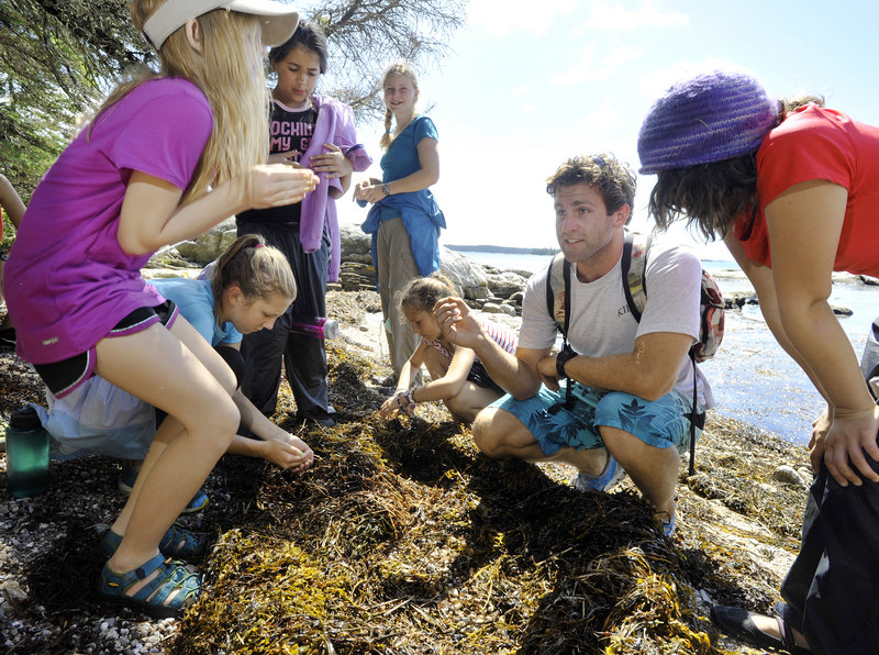 Hog Island Camp, a famous Audubon classroom site on the mid-Maine coast, is rebuilding its Audubon programs with the help of volunteers. Instructor Ryan Pelletier shows a group of young campers that sand fleas found in the sea grasses actually can be edible.
