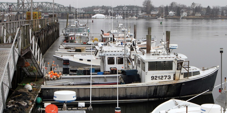 Fishing boats are moored at the Commercial Fishing Pier in Portsmouth, N.H., last winter. The government has declared New England's groundfish industry a 'disaster' clearing the way for financial assistance.