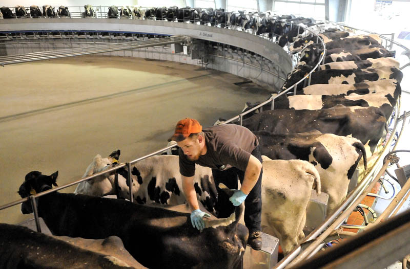 Connor Tulley, 17, of Fairfield, handles milking cows on the industrial revolving milking machine at Flood Brothers Farm on River Road in Clinton in June, 2014.