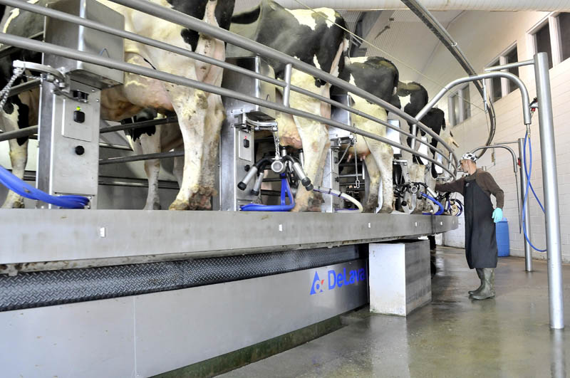 George Goodwin milks dairy cows on a revolving industrial milking machine at Flood Brothers Farm on River Road in Clinton on Wednesday.