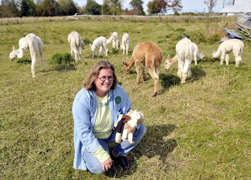 Jill McElderry-Maxwell holds products from her alpacas as her animals graze at her alpaca farm Bag End Suri Alpaca Farm in Pittsfield Friday. McElderry-Maxwell and her husband Bruce Maxwell own the farm and do a majority of their sales via internet.