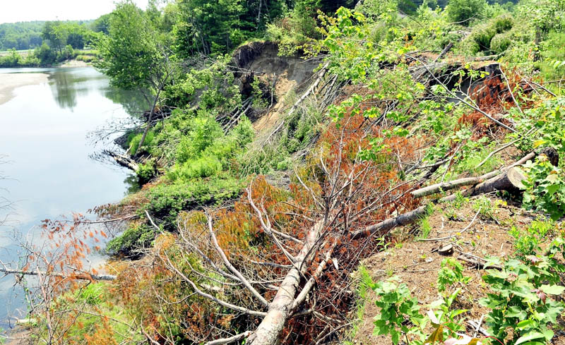 Trees have been cut down in an effort to help stabilize erosion between Whittier Road and Sandy Stream in Farmington.