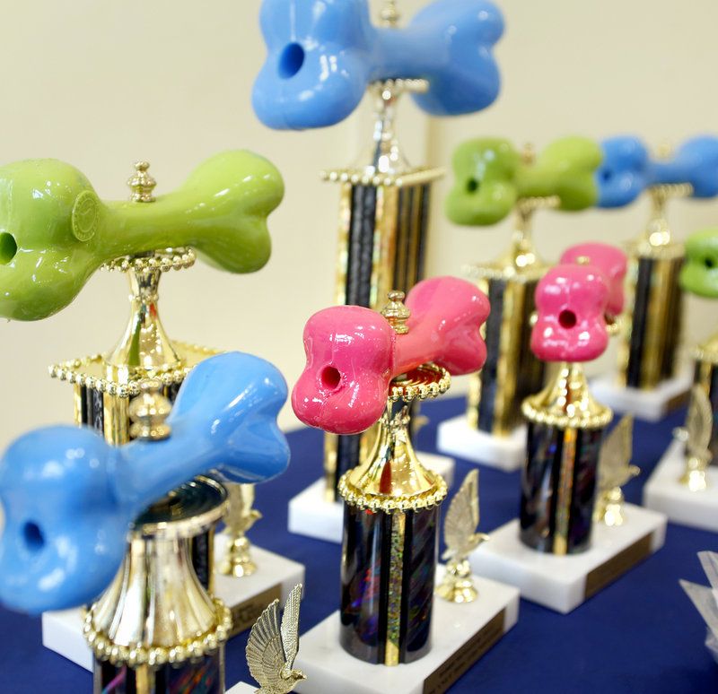 The distinctive trophies at the Woofminster Amateur Dog Show.