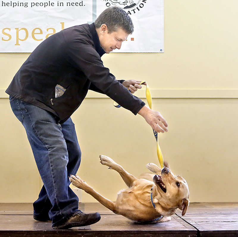 Mike Collins of Portland encourages his dog Teddy to roll over during the best trick event to try to win a trophy at the Woofminster Amateur Dog Show.